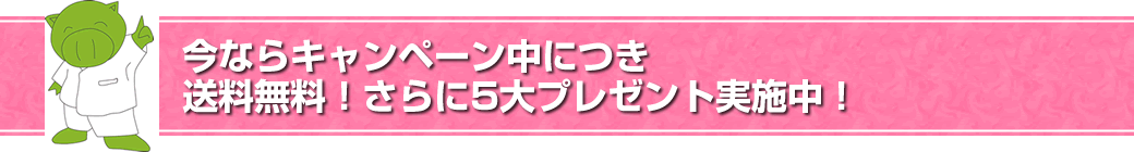 今ならキャンペーン中につき送料無料!さらに5大プレゼント実施中!